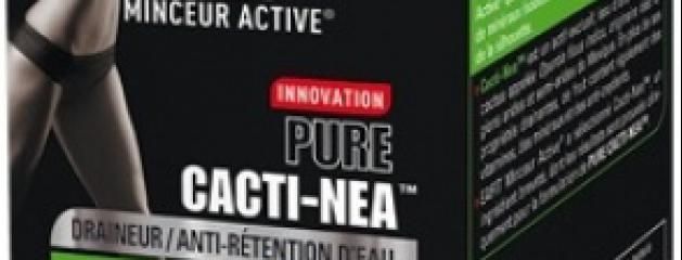 PURE CACTI-NEA | Jean-Marc Morandini PURE CACTI-NEA | Jean-Marc Morandini